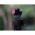 Freewell Filtr ND do DJI Osmo Pocket 3/4 - 1504338 - zdjęcie 4